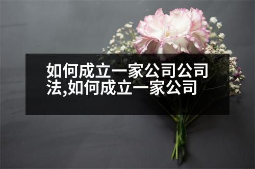 如何成立一家公司公司法,如何成立一家公司