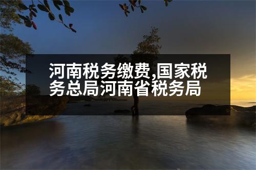 河南稅務繳費,國家稅務總局河南省稅務局