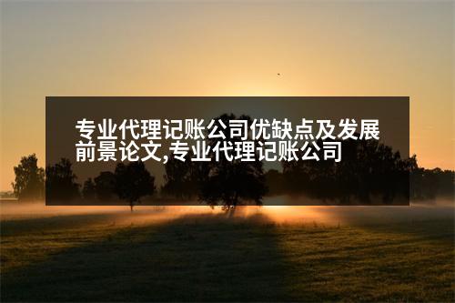 專業(yè)代理記賬公司優(yōu)缺點(diǎn)及發(fā)展前景論文,專業(yè)代理記賬公司