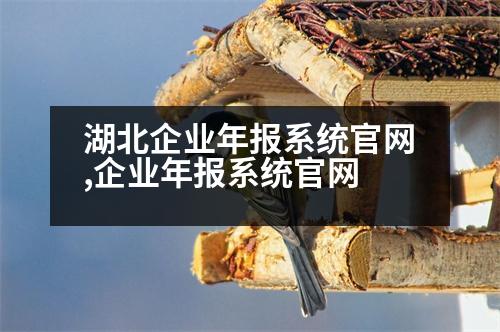 湖北企業(yè)年報(bào)系統(tǒng)官網(wǎng),企業(yè)年報(bào)系統(tǒng)官網(wǎng)