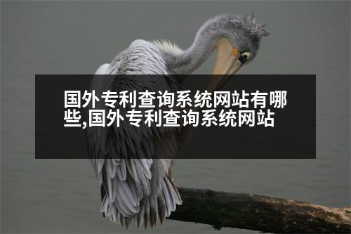 國外專利查詢系統(tǒng)網(wǎng)站有哪些,國外專利查詢系統(tǒng)網(wǎng)站