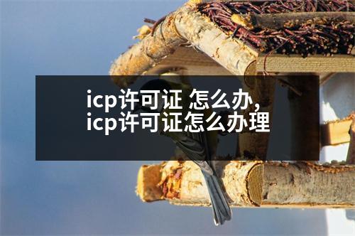 icp許可證 怎么辦,icp許可證怎么辦理