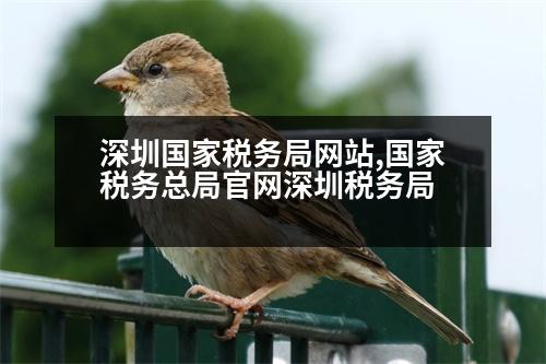 深圳國家稅務(wù)局網(wǎng)站,國家稅務(wù)總局官網(wǎng)深圳稅務(wù)局