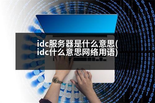 idc服務(wù)器是什么意思(idc什么意思網(wǎng)絡(luò)用語)