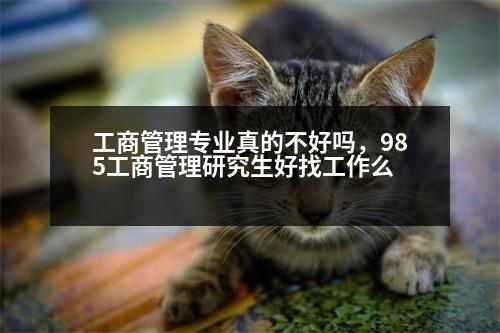 工商管理專業(yè)真的不好嗎，985工商管理研究生好找工作么