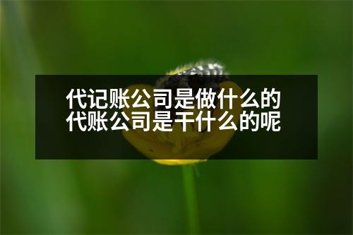 代記賬公司是做什么的 代賬公司是干什么的呢