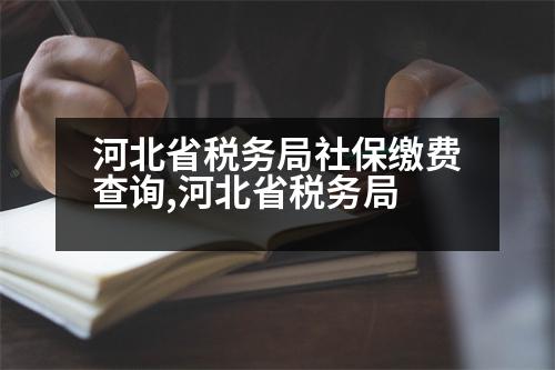 河北省稅務(wù)局社保繳費查詢,河北省稅務(wù)局