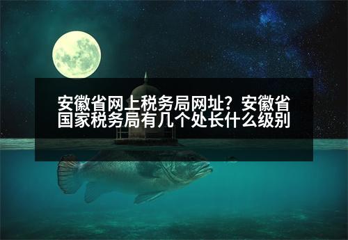 安徽省網(wǎng)上稅務(wù)局網(wǎng)址？安徽省國家稅務(wù)局有幾個(gè)處長什么級(jí)別