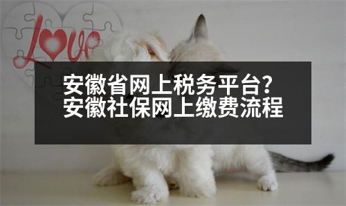 安徽省網(wǎng)上稅務(wù)平臺？安徽社保網(wǎng)上繳費(fèi)流程