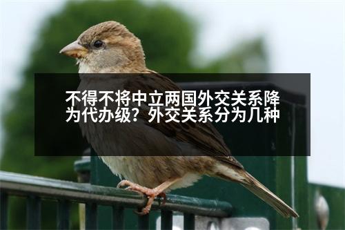 不得不將中立兩國外交關(guān)系降為代辦級？外交關(guān)系分為幾種