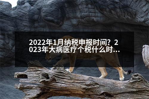 2022年1月納稅申報(bào)時(shí)間？2023年大病醫(yī)療個(gè)稅什么時(shí)候填