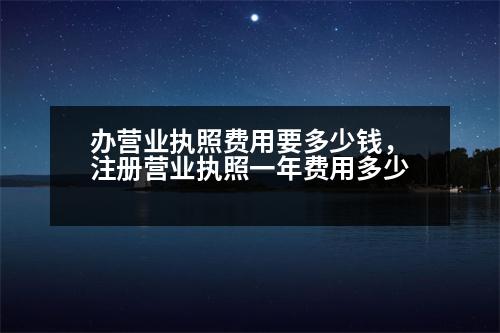 辦營業(yè)執(zhí)照費(fèi)用要多少錢，注冊(cè)營業(yè)執(zhí)照一年費(fèi)用多少