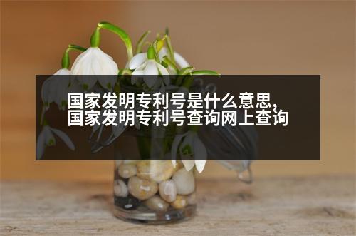 國家發(fā)明專利號是什么意思,國家發(fā)明專利號查詢網(wǎng)上查詢