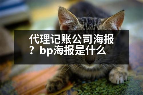 代理記賬公司海報？bp海報是什么