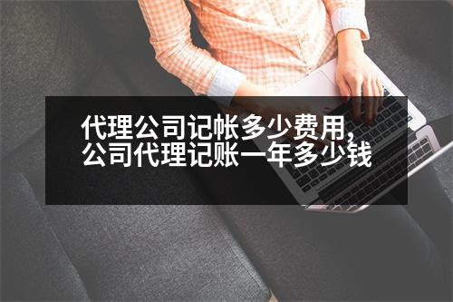 代理公司記帳多少費(fèi)用,公司代理記賬一年多少錢