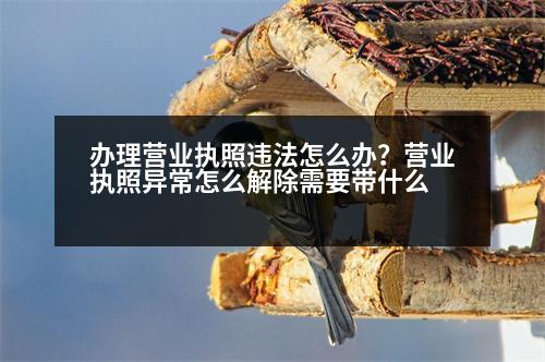 辦理營(yíng)業(yè)執(zhí)照違法怎么辦？營(yíng)業(yè)執(zhí)照異常怎么解除需要帶什么