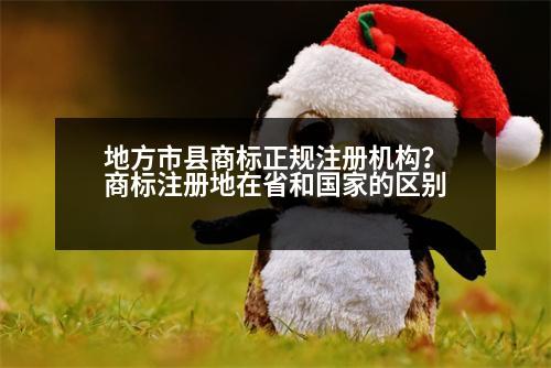 地方市縣商標(biāo)正規(guī)注冊機構(gòu)？商標(biāo)注冊地在省和國家的區(qū)別