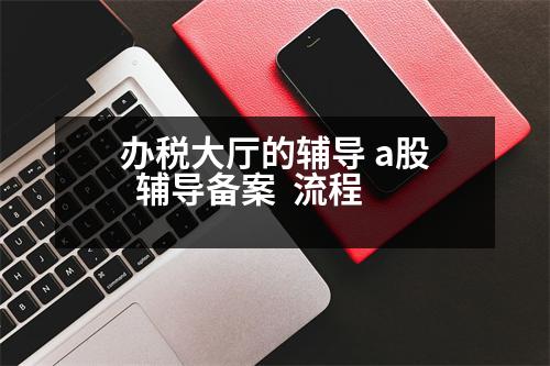 辦稅大廳的輔導 a股  輔導備案  流程