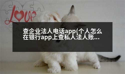 查企業(yè)法人電話app(個人怎么在銀行app上查私人法人賬號)