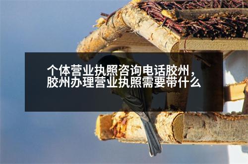 個體營業(yè)執(zhí)照咨詢電話膠州，膠州辦理營業(yè)執(zhí)照需要帶什么