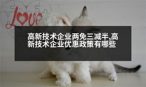 高新技術企業(yè)兩免三減半,高新技術企業(yè)優(yōu)惠政策有哪些