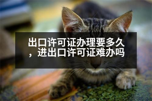 出口許可證辦理要多久，進出口許可證難辦嗎