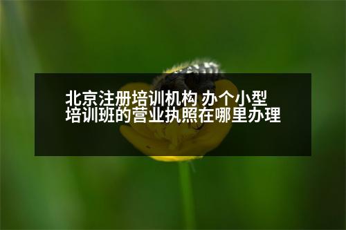 北京注冊(cè)培訓(xùn)機(jī)構(gòu) 辦個(gè)小型培訓(xùn)班的營業(yè)執(zhí)照在哪里辦理