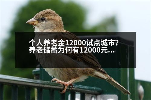 個(gè)人養(yǎng)老金12000試點(diǎn)城市？養(yǎng)老儲(chǔ)蓄為何有12000元的限制