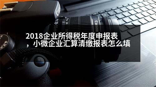 2018企業(yè)所得稅年度申報(bào)表，小微企業(yè)匯算清繳報(bào)表怎么填