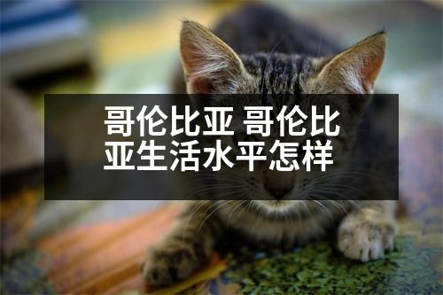 哥倫比亞 哥倫比亞生活水平怎樣