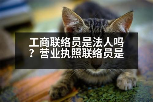 工商聯(lián)絡(luò)員是法人嗎？營(yíng)業(yè)執(zhí)照聯(lián)絡(luò)員是