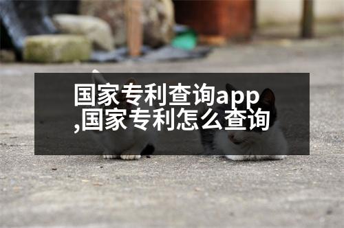 國(guó)家專利查詢app,國(guó)家專利怎么查詢