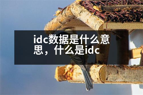 idc數(shù)據(jù)是什么意思，什么是idc