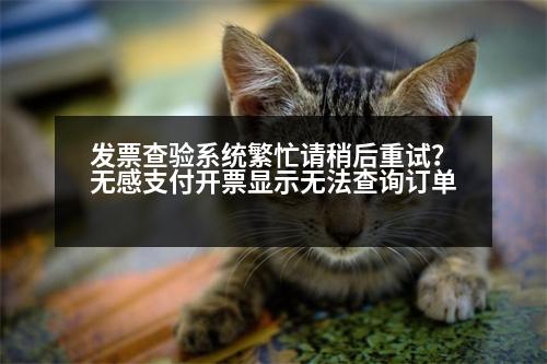 發(fā)票查驗系統(tǒng)繁忙請稍后重試？無感支付開票顯示無法查詢訂單