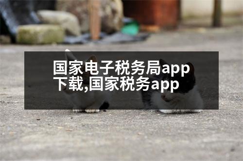 國家電子稅務(wù)局app下載,國家稅務(wù)app