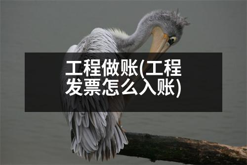 工程做賬(工程發(fā)票怎么入賬)