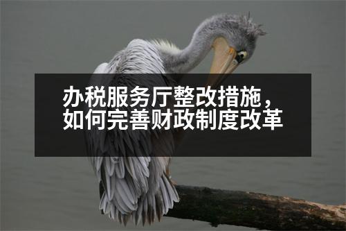 辦稅服務(wù)廳整改措施，如何完善財(cái)政制度改革