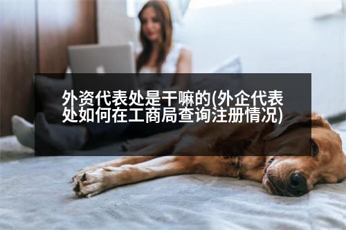 外資代表處是干嘛的(外企代表處如何在工商局查詢注冊(cè)情況)