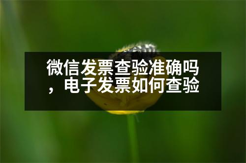 微信發(fā)票查驗(yàn)準(zhǔn)確嗎，電子發(fā)票如何查驗(yàn)