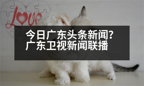 今日廣東頭條新聞？廣東衛(wèi)視新聞聯(lián)播