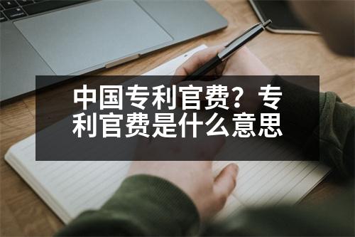 中國專利官費？專利官費是什么意思