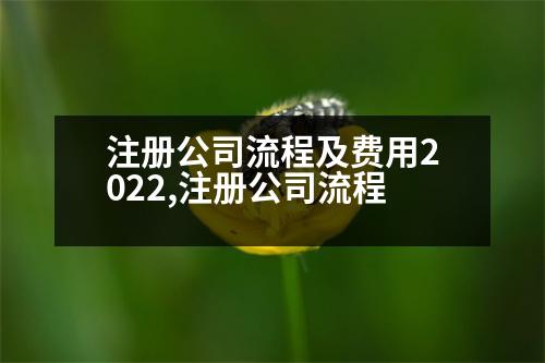 注冊(cè)公司流程及費(fèi)用2022,注冊(cè)公司流程