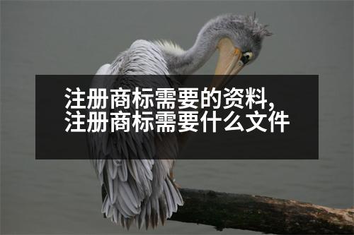 注冊(cè)商標(biāo)需要的資料,注冊(cè)商標(biāo)需要什么文件