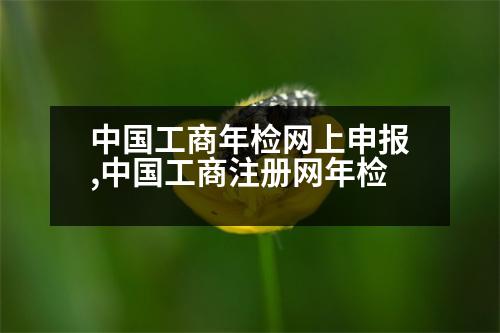 中國(guó)工商年檢網(wǎng)上申報(bào),中國(guó)工商注冊(cè)網(wǎng)年檢