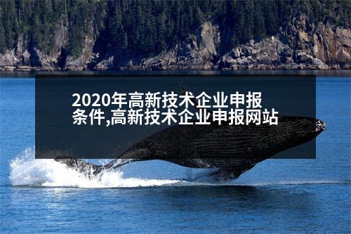 2020年高新技術(shù)企業(yè)申報條件,高新技術(shù)企業(yè)申報網(wǎng)站