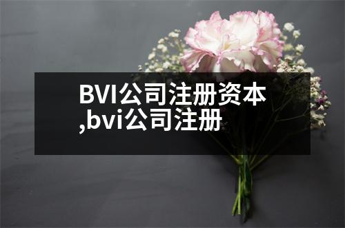 BVI公司注冊資本,bvi公司注冊