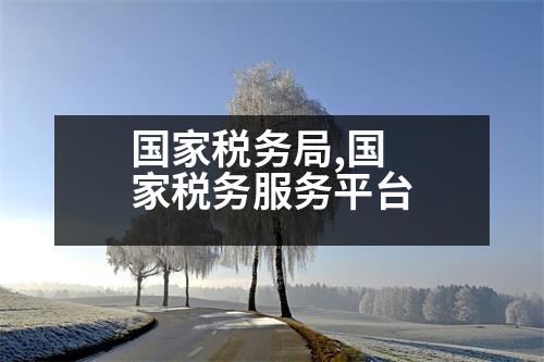 國家稅務(wù)局,國家稅務(wù)服務(wù)平臺(tái)