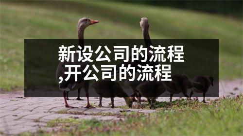 新設公司的流程,開公司的流程