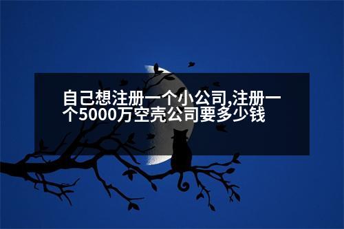 自己想注冊(cè)一個(gè)小公司,注冊(cè)一個(gè)5000萬(wàn)空殼公司要多少錢(qián)