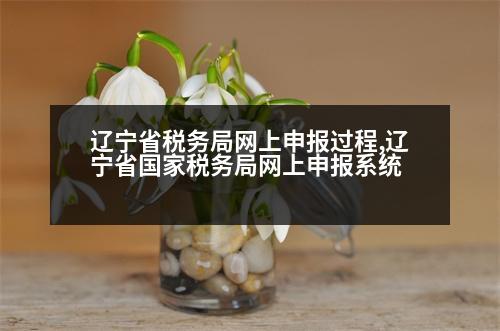 遼寧省稅務(wù)局網(wǎng)上申報(bào)過程,遼寧省國家稅務(wù)局網(wǎng)上申報(bào)系統(tǒng)